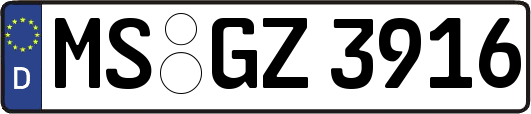 MS-GZ3916