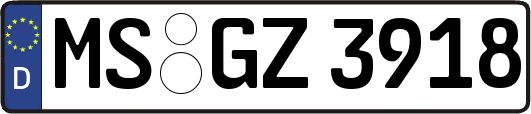 MS-GZ3918
