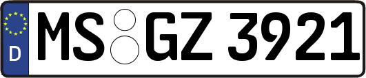 MS-GZ3921