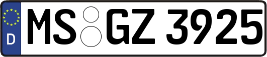 MS-GZ3925