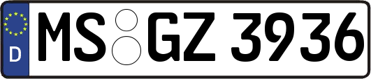MS-GZ3936