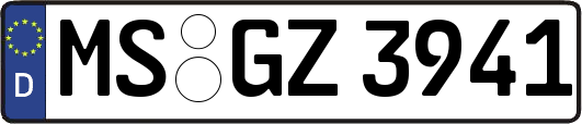 MS-GZ3941