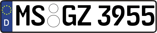 MS-GZ3955