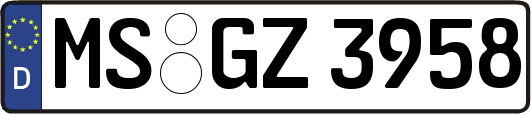 MS-GZ3958