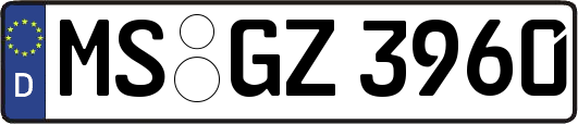 MS-GZ3960