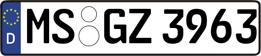 MS-GZ3963