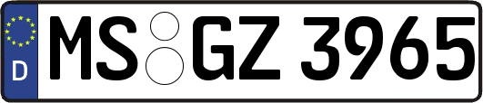 MS-GZ3965