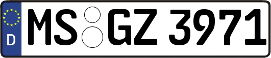 MS-GZ3971
