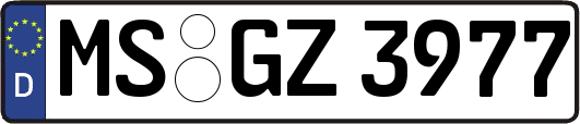 MS-GZ3977