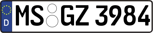 MS-GZ3984