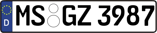 MS-GZ3987