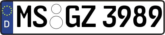 MS-GZ3989