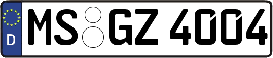 MS-GZ4004