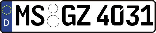 MS-GZ4031