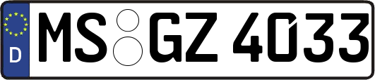 MS-GZ4033