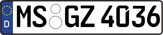 MS-GZ4036
