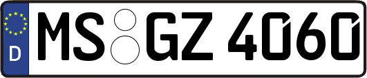 MS-GZ4060