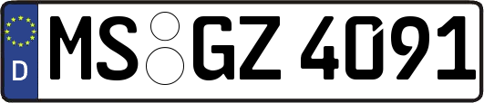 MS-GZ4091