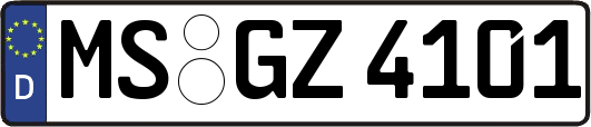 MS-GZ4101