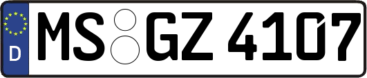MS-GZ4107