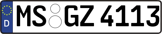 MS-GZ4113