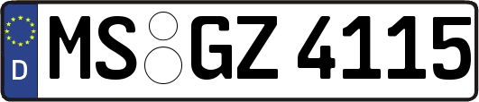 MS-GZ4115