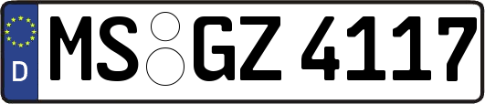 MS-GZ4117