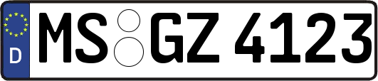 MS-GZ4123
