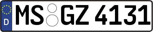 MS-GZ4131