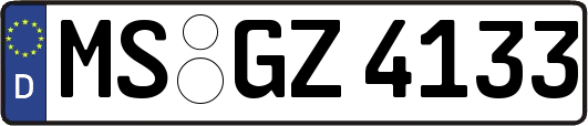 MS-GZ4133