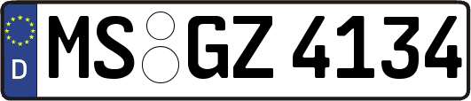 MS-GZ4134