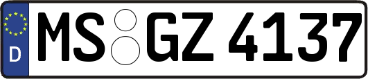 MS-GZ4137