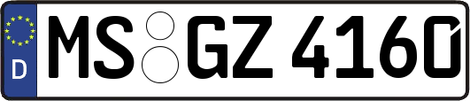 MS-GZ4160