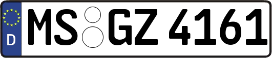 MS-GZ4161