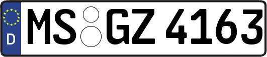 MS-GZ4163