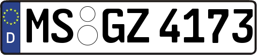 MS-GZ4173