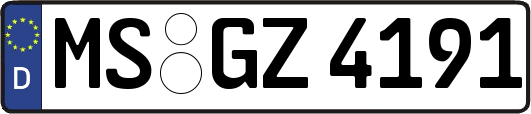 MS-GZ4191