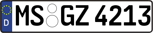 MS-GZ4213