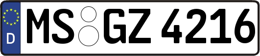 MS-GZ4216