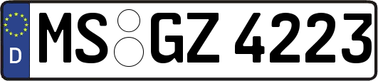 MS-GZ4223