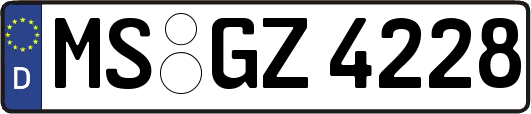 MS-GZ4228