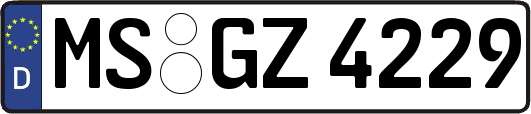 MS-GZ4229