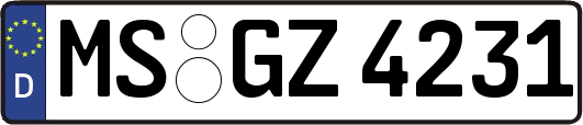 MS-GZ4231