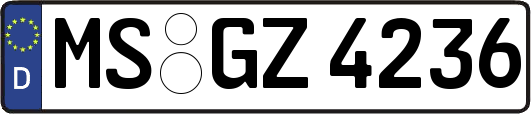MS-GZ4236