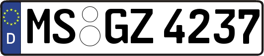 MS-GZ4237