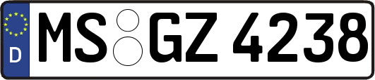 MS-GZ4238