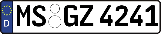 MS-GZ4241