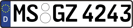 MS-GZ4243