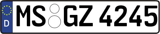 MS-GZ4245