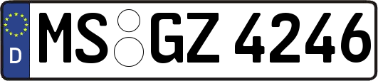 MS-GZ4246